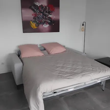 Detente Et Modernite Aux Portes De Pau Apartment *
